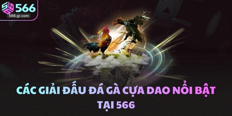 Các giải đấu đá gà cựa dao nổi bật tại 566