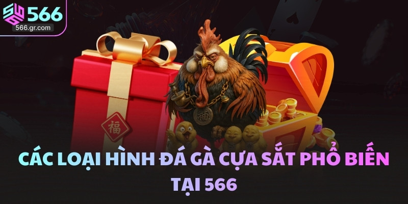 Các loại hình đá gà cựa sắt phổ biến tại 566