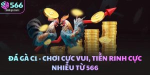 Đá Gà C1 - Chơi Cực Vui, Tiền Rinh Cực Nhiều Từ 566