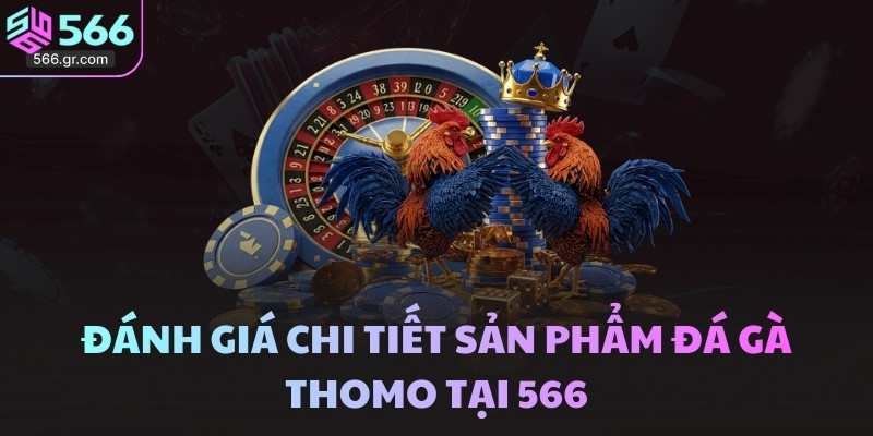 Đánh giá chi tiết sản phẩm đá gà Thomo tại 566