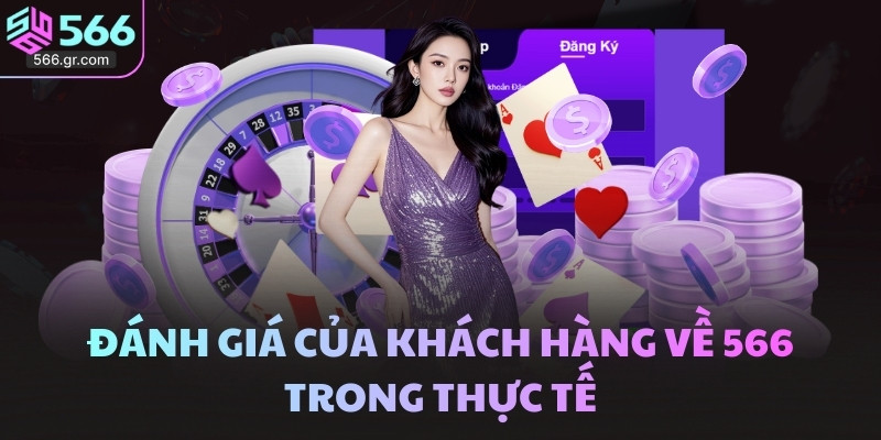 566 38 Đánh giá của khách hàng về 566 trong thực tế
