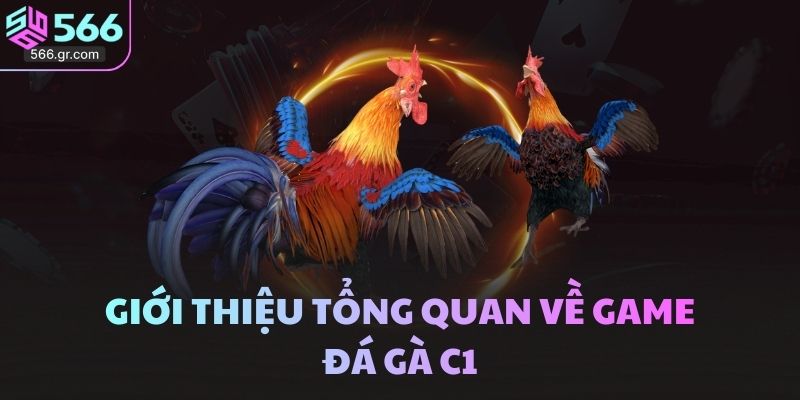 Giới thiệu tổng quan về game đá gà C1