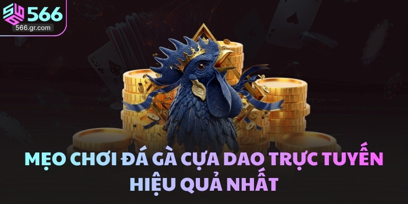 Mẹo chơi đá gà cựa dao trực tuyến hiệu quả nhất