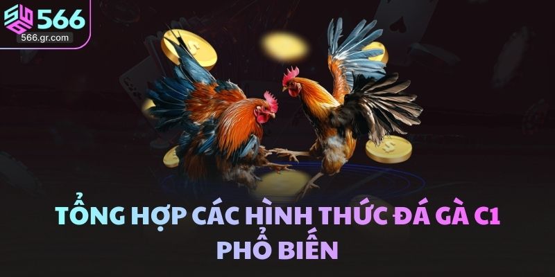 Tổng hợp các hình thức đá gà C1 phổ biến