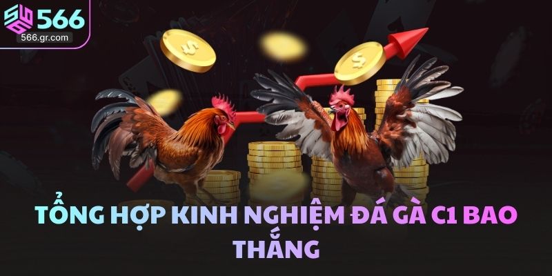 Tổng hợp kinh nghiệm đá gà C1 bao thắng